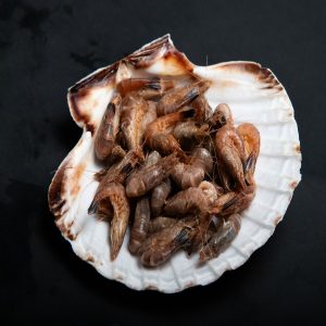 Crevettes grises