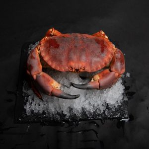 Tourteau ( environ 600gr )